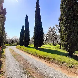  Ferienhaus Il Palagio Italien